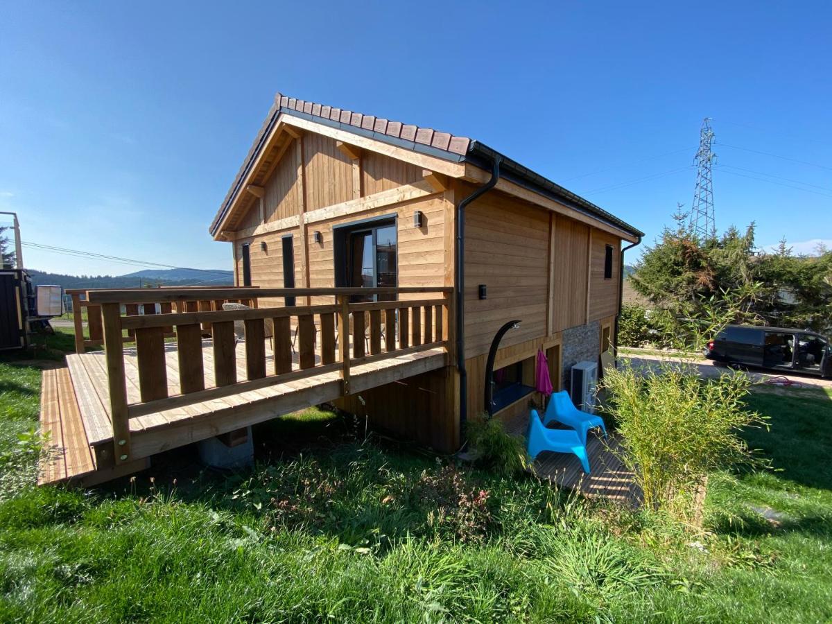 L'Adret Du Temps Chalet 10 Personnes 170M2 Gérardmer Eksteriør bilde