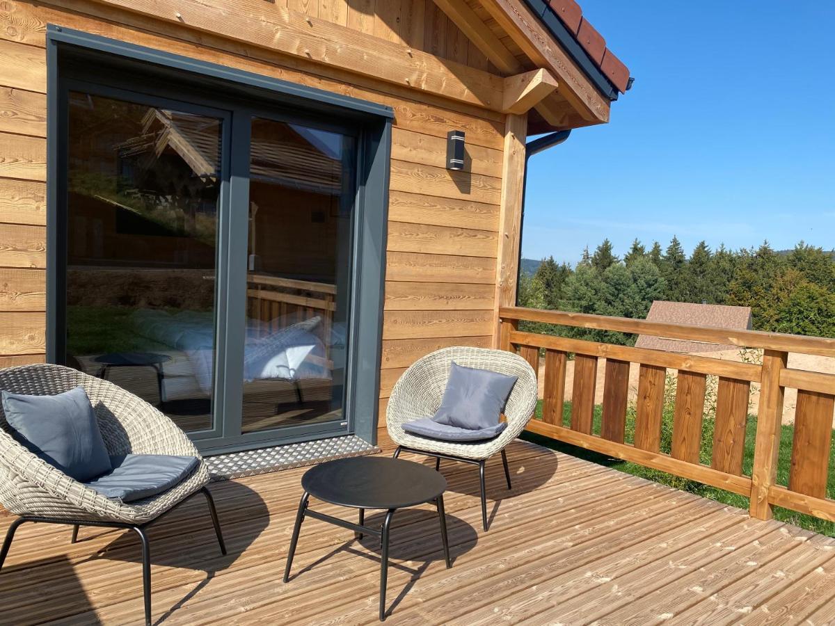 L'Adret Du Temps Chalet 10 Personnes 170M2 Gérardmer Eksteriør bilde